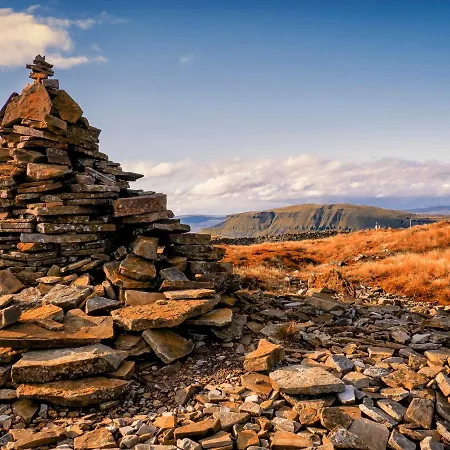 Winskill * 塞特尔